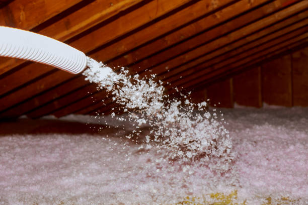 Best Residential Insulation in Lapwai, ID